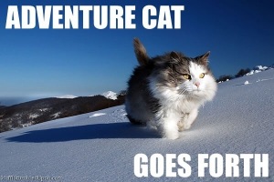 adventure-cat-meme_thumb